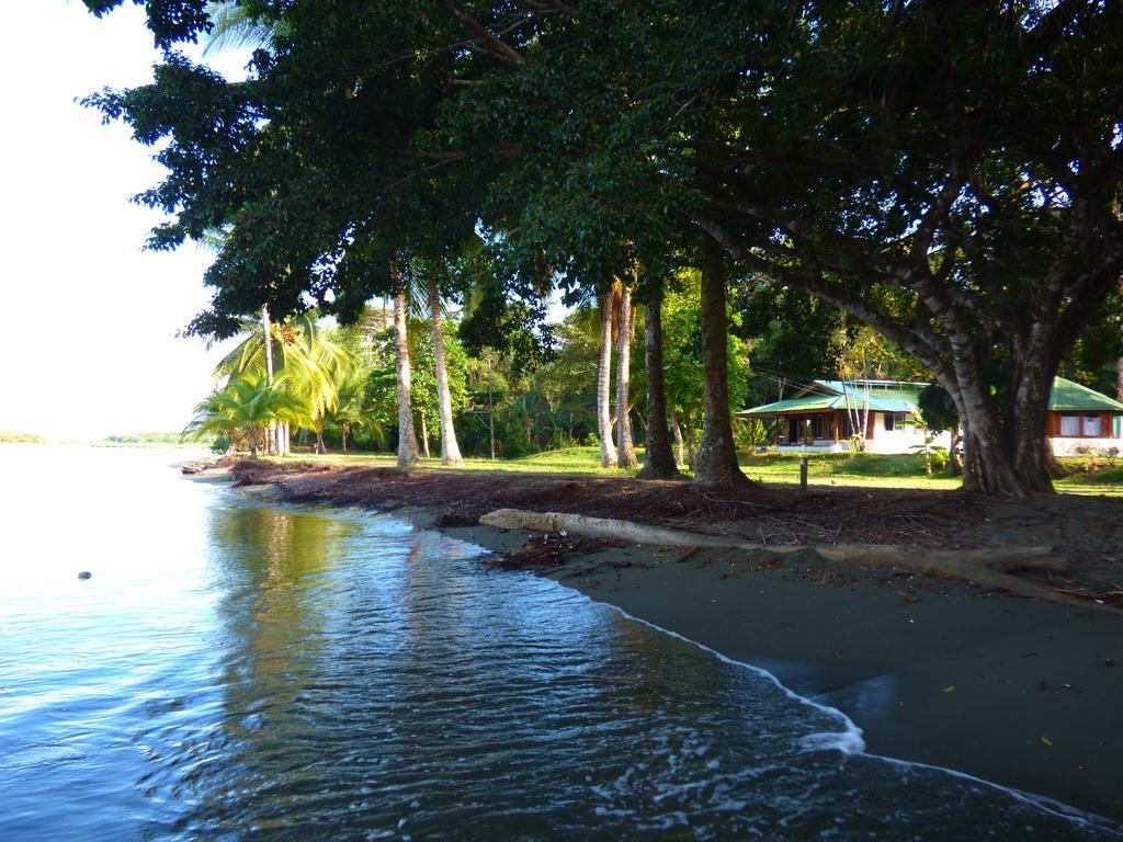 Corcovado Beach Lodge Puerto Jiménez Exteriör bild