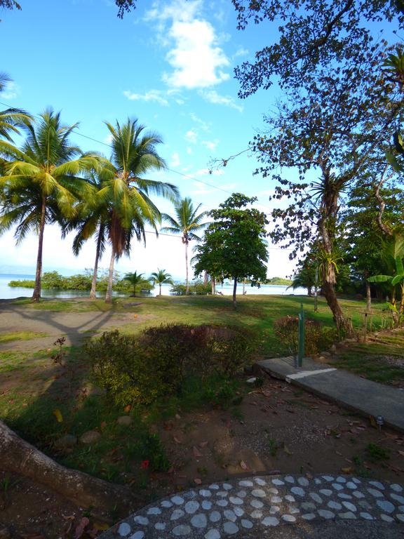 Corcovado Beach Lodge Puerto Jiménez Exteriör bild
