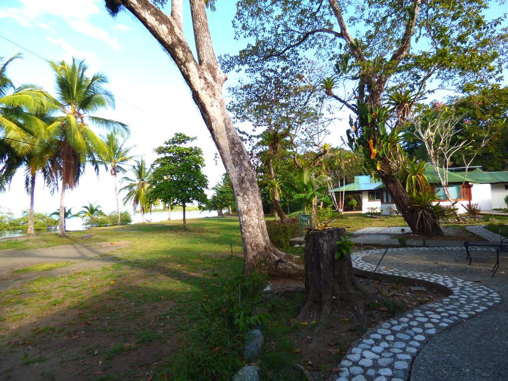 Corcovado Beach Lodge Puerto Jiménez Exteriör bild