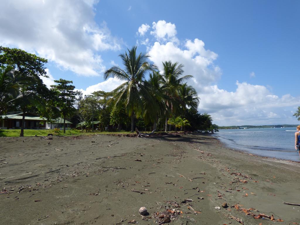 Corcovado Beach Lodge Puerto Jiménez Exteriör bild