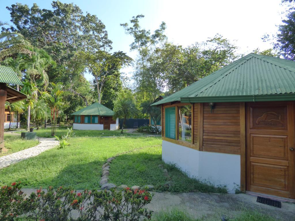 Corcovado Beach Lodge Puerto Jiménez Exteriör bild