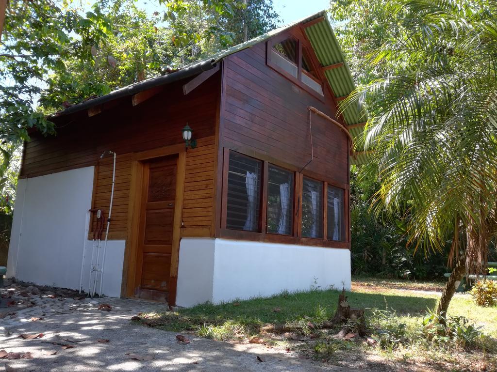 Corcovado Beach Lodge Puerto Jiménez Exteriör bild