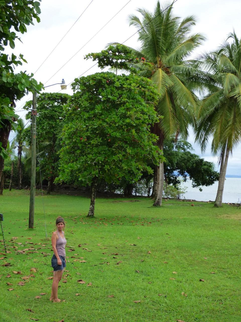 Corcovado Beach Lodge Puerto Jiménez Exteriör bild